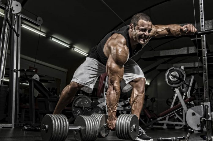 Culturista entrenamiento con mancuerdas para el crecimiento muscular